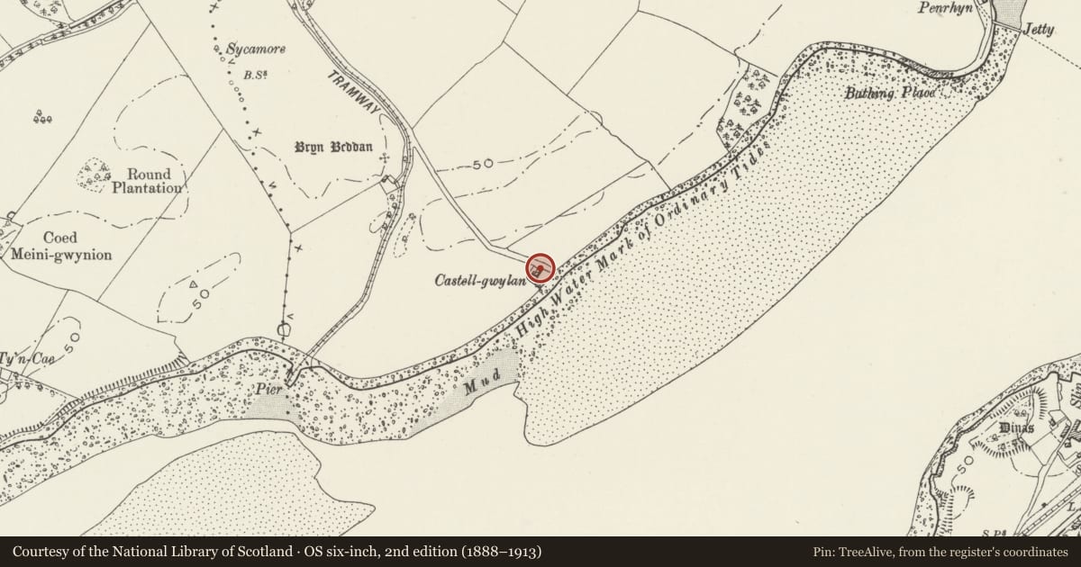 Ordnance Survey six-inch map, 2nd edition (1888–1913) covering the location of Castell Gwylan, Llanddaniel Fab, Isle of Anglesey, with a pin at the register's coordinates