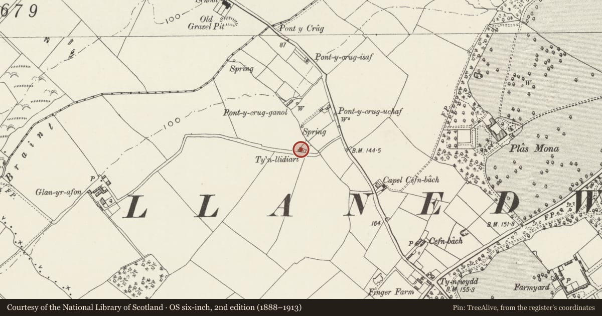 Ordnance Survey six-inch map, 2nd edition (1888–1913) covering the location of Ty'n-llidiart, Llanddaniel Fab, Isle of Anglesey, with a pin at the register's coordinates
