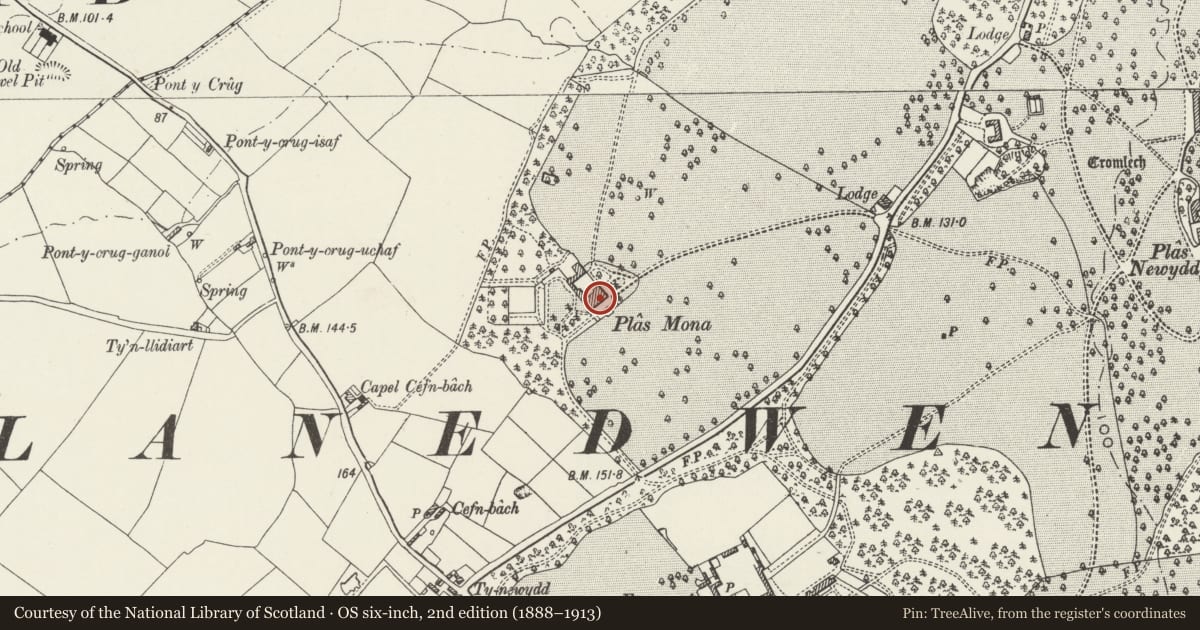 Ordnance Survey six-inch map, 2nd edition (1888–1913) covering the location of Plas Llwynonn including coach house and service range to rear, Llanddaniel Fab, Isle of Anglesey, with a pin at the register's coordinates
