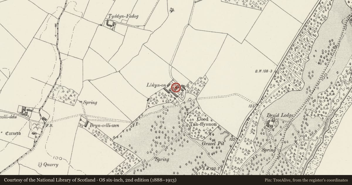 Ordnance Survey six-inch map, 2nd edition (1888–1913) covering the location of Lwyn-onn Farm, Llanddaniel Fab, Isle of Anglesey, with a pin at the register's coordinates