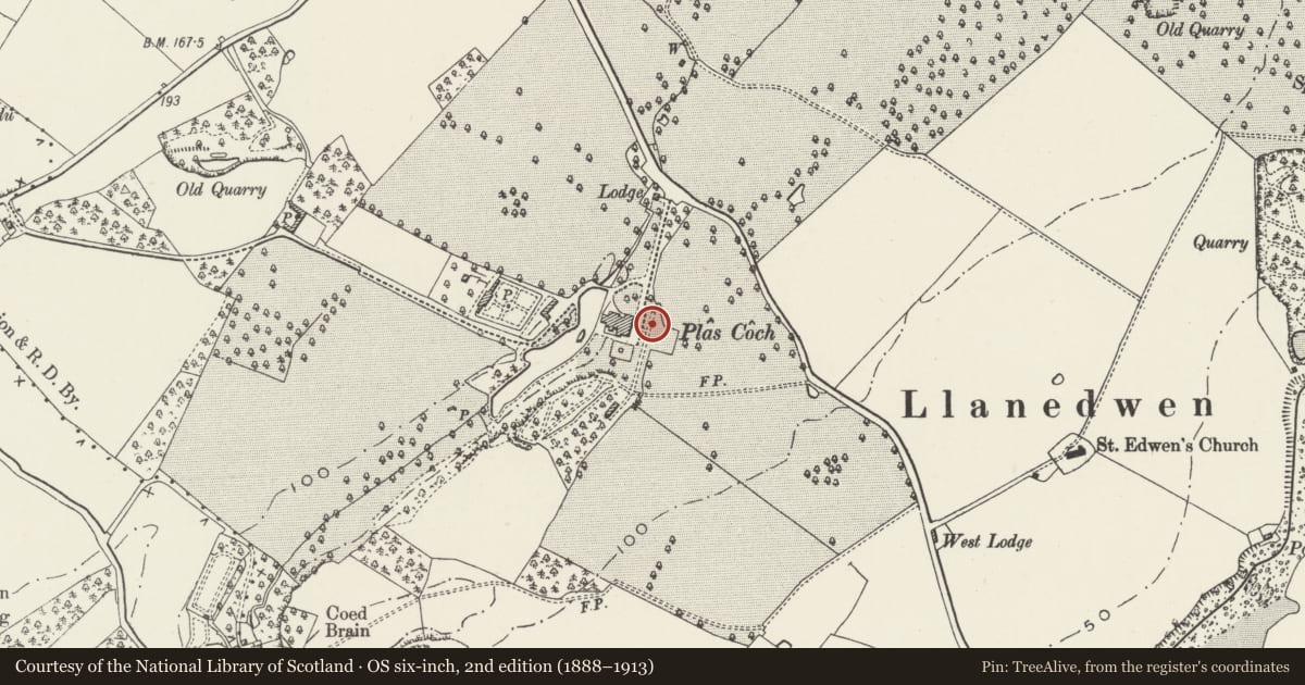 Ordnance Survey six-inch map, 2nd edition (1888–1913) covering the location of Decorative walling in front of Plas Coch, Llanddaniel Fab, Isle of Anglesey, with a pin at the register's coordinates