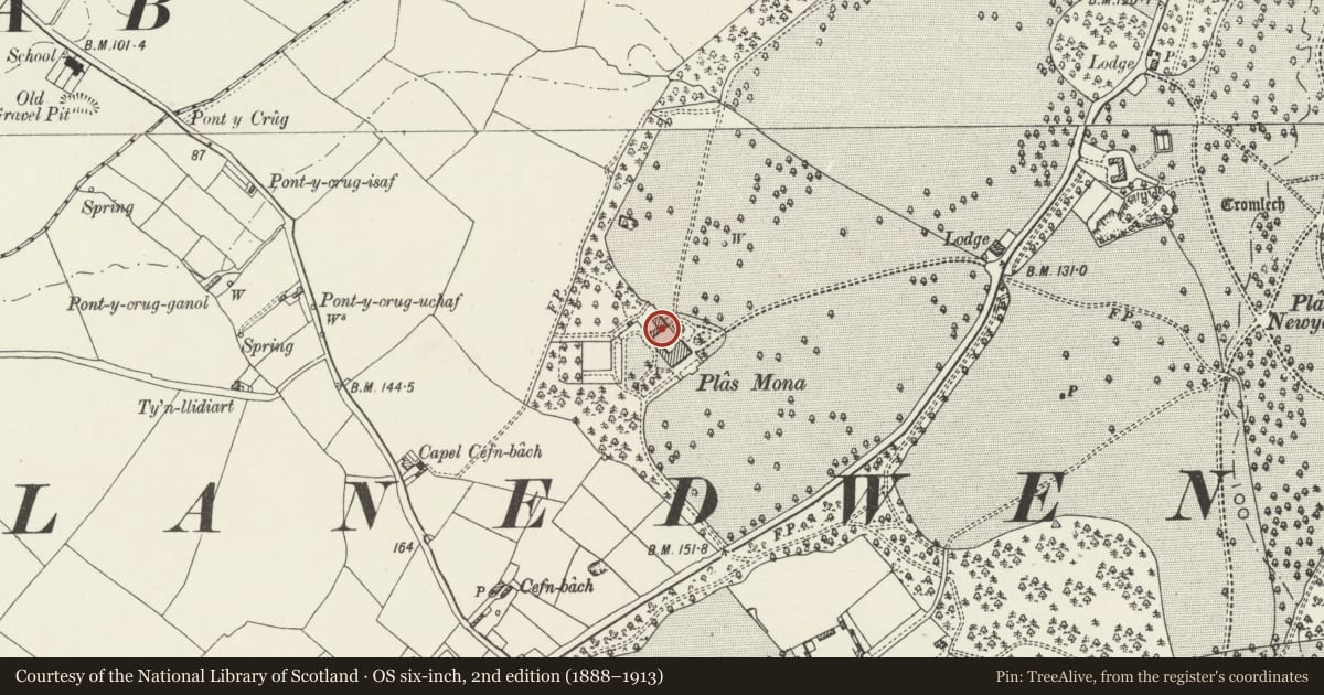 Ordnance Survey six-inch map, 2nd edition (1888–1913) covering the location of Stables and lodge at Plas Llwynonn, Llanddaniel Fab, Isle of Anglesey, with a pin at the register's coordinates