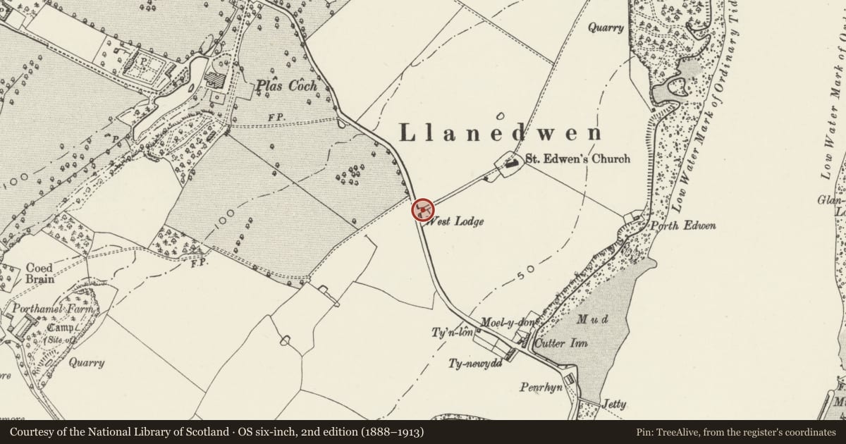 Ordnance Survey six-inch map, 2nd edition (1888–1913) covering the location of Church Lodge entrance walls and gatepiers, Llanddaniel Fab, Isle of Anglesey, with a pin at the register's coordinates