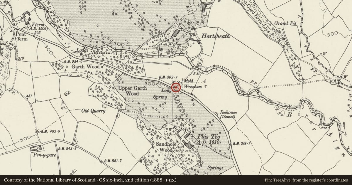 Ordnance Survey six-inch map, 2nd edition (1888–1913) covering the location of Milestone at Plas Teg, Hope, Flintshire, with a pin at the register's coordinates