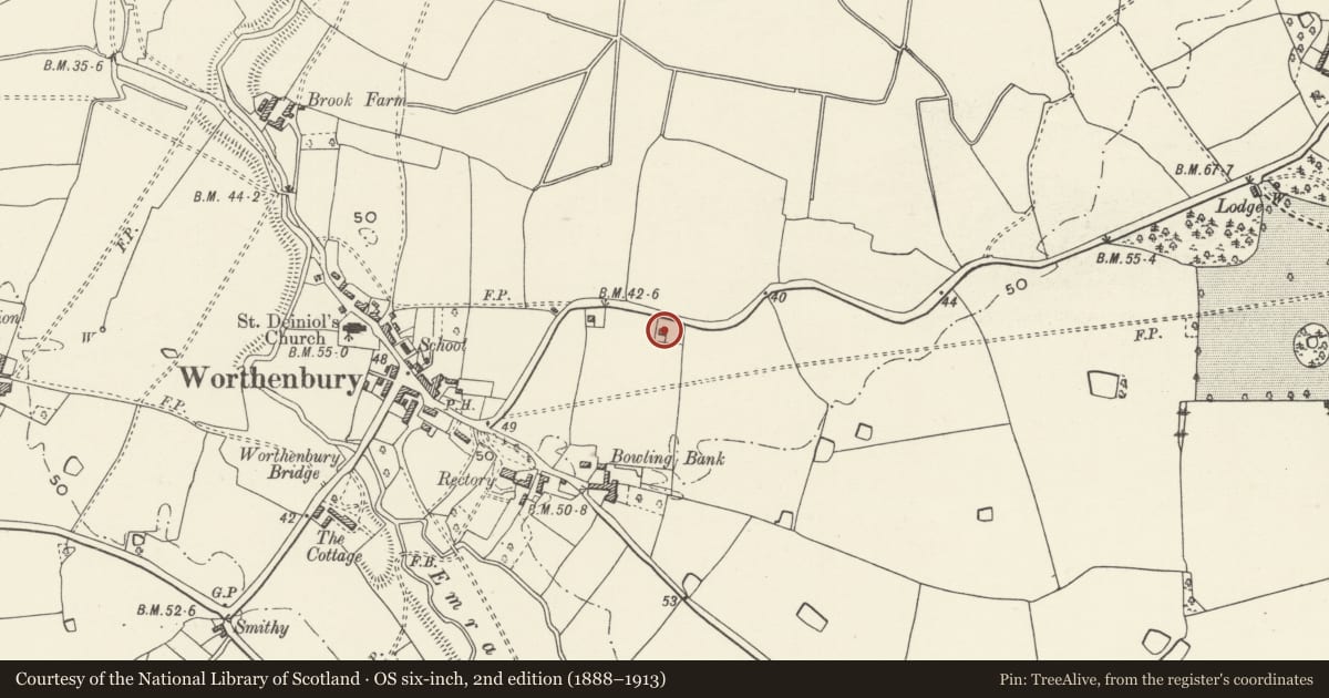 Ordnance Survey six-inch map, 2nd edition (1888–1913) covering the location of Frog Lane Cottage (East), Willington Worthenbury, Wrexham, with a pin at the register's coordinates