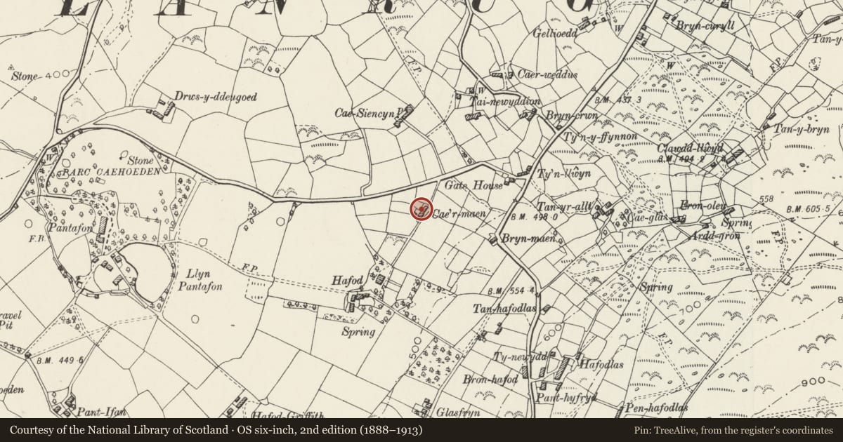 Ordnance Survey six-inch map, 2nd edition (1888–1913) covering the location of Cae'r-maen, Llanrug, Gwynedd, with a pin at the register's coordinates