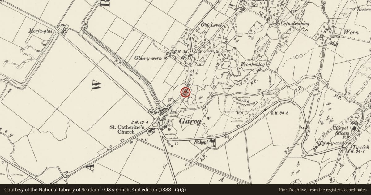 Ordnance Survey six-inch map, 2nd edition (1888–1913) covering the location of Danw Deg, Llanfrothen, Gwynedd, with a pin at the register's coordinates