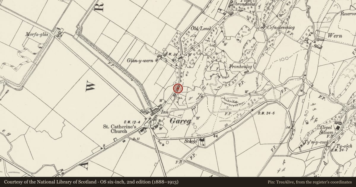 Ordnance Survey six-inch map, 2nd edition (1888–1913) covering the location of 3 Cyffin Terrace, A4085, Llanfrothen, Gwynedd, with a pin at the register's coordinates