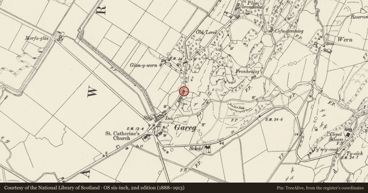 Ordnance Survey six-inch map, 2nd edition (1888–1913) covering the location of 6 Cyffin Terrace, A4085, Llanfrothen, Gwynedd, with a pin at the register's coordinates