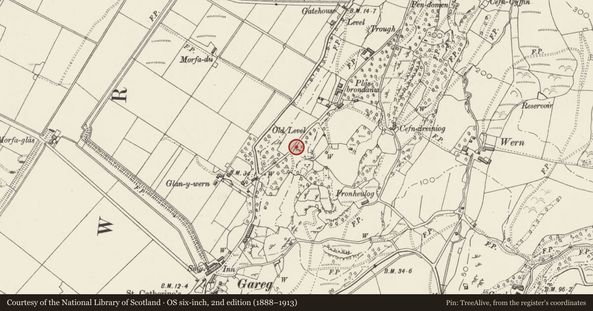 Ordnance Survey six-inch map, 2nd edition (1888–1913) covering the location of Arched Gate and adjoining Balustrade 200m NE of the New Lodge, Llanfrothen, Gwynedd, with a pin at the register's coordinates