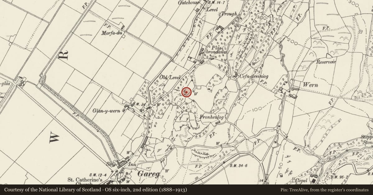 Ordnance Survey six-inch map, 2nd edition (1888–1913) covering the location of Flaming Urn Monument, Llanfrothen, Gwynedd, with a pin at the register's coordinates