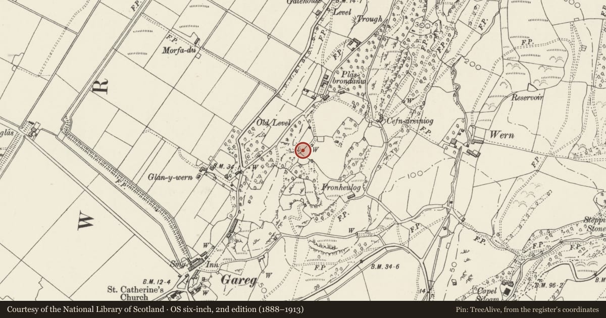 Ordnance Survey six-inch map, 2nd edition (1888–1913) covering the location of Gates and Gatepiers immediately S of the Flaming Urn Monument, Llanfrothen, Gwynedd, with a pin at the register's coordinates
