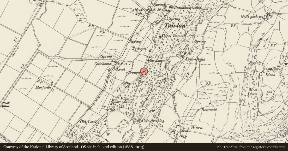 Ordnance Survey six-inch map, 2nd edition (1888–1913) covering the location of Arch and Gate at Ffynnon Gwyfil, Llanfrothen, Gwynedd, with a pin at the register's coordinates
