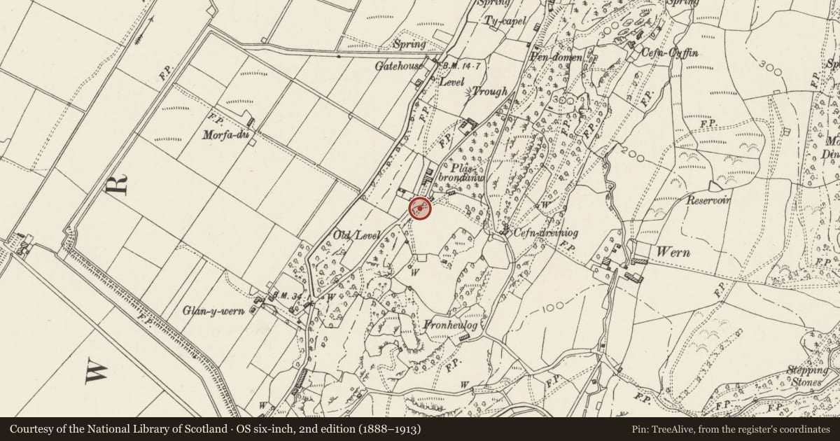 Ordnance Survey six-inch map, 2nd edition (1888–1913) covering the location of Gates and Gatepiers opposite the Coach-house including Curved Wall adjoining to NE., Llanfrothen, Gwynedd, with a pin at the register's coordinates