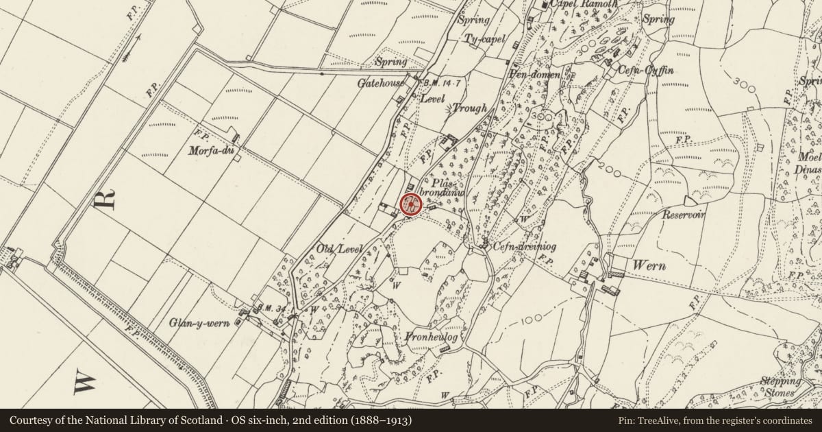 Ordnance Survey six-inch map, 2nd edition (1888–1913) covering the location of Main Gates and Gatepiers to Plas Brondanw including attached Enclosing Walls and Revettment to E, Llanfrothen, Gwynedd, with a pin at the register's coordinates