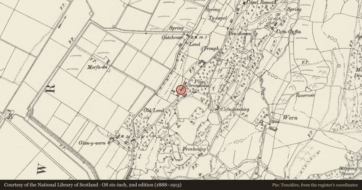 Ordnance Survey six-inch map, 2nd edition (1888–1913) covering the location of Steps, Gates and Gatepiers to Upper Terrace at Plas Brondanw Gardens, Llanfrothen, Gwynedd, with a pin at the register's coordinates