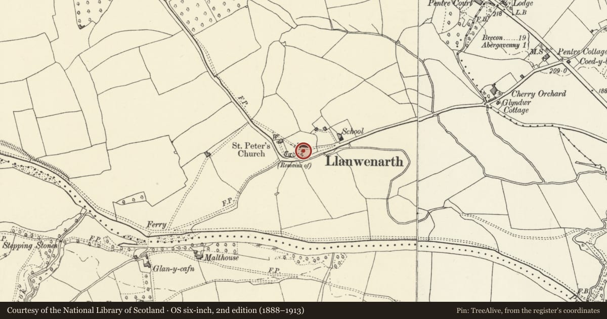 Ordnance Survey six-inch map, 2nd edition (1888–1913) covering the location of Churchyard Cross to the south of Parish Church of St Peter, Abergavenny, Monmouthshire, with a pin at the register's coordinates