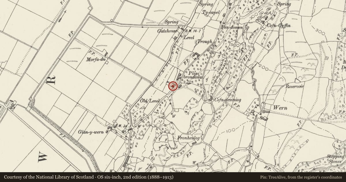Ordnance Survey six-inch map, 2nd edition (1888–1913) covering the location of Coach-house and adjoining Entrance Arch to Plas Brondanw Gardens, Llanfrothen, Gwynedd, with a pin at the register's coordinates