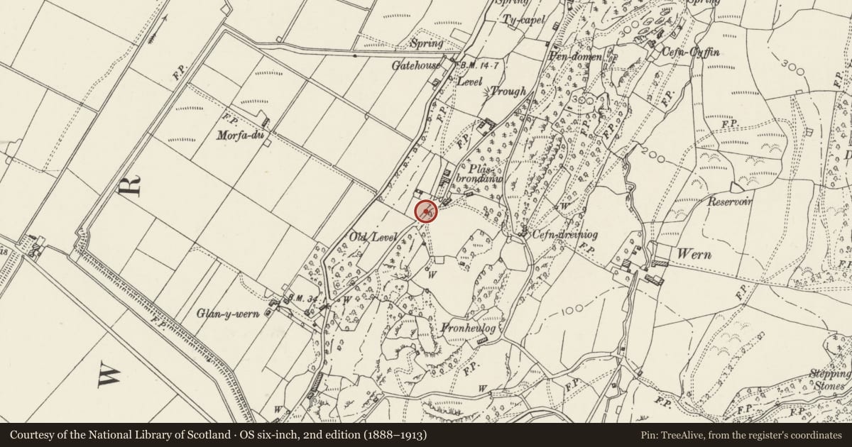 Ordnance Survey six-inch map, 2nd edition (1888–1913) covering the location of Aedicular Triple-arched Niche at Plas Brondanw Gardens including adjoining Wall and Gate to NE, Llanfrothen, Gwynedd, with a pin at the register's coordinates