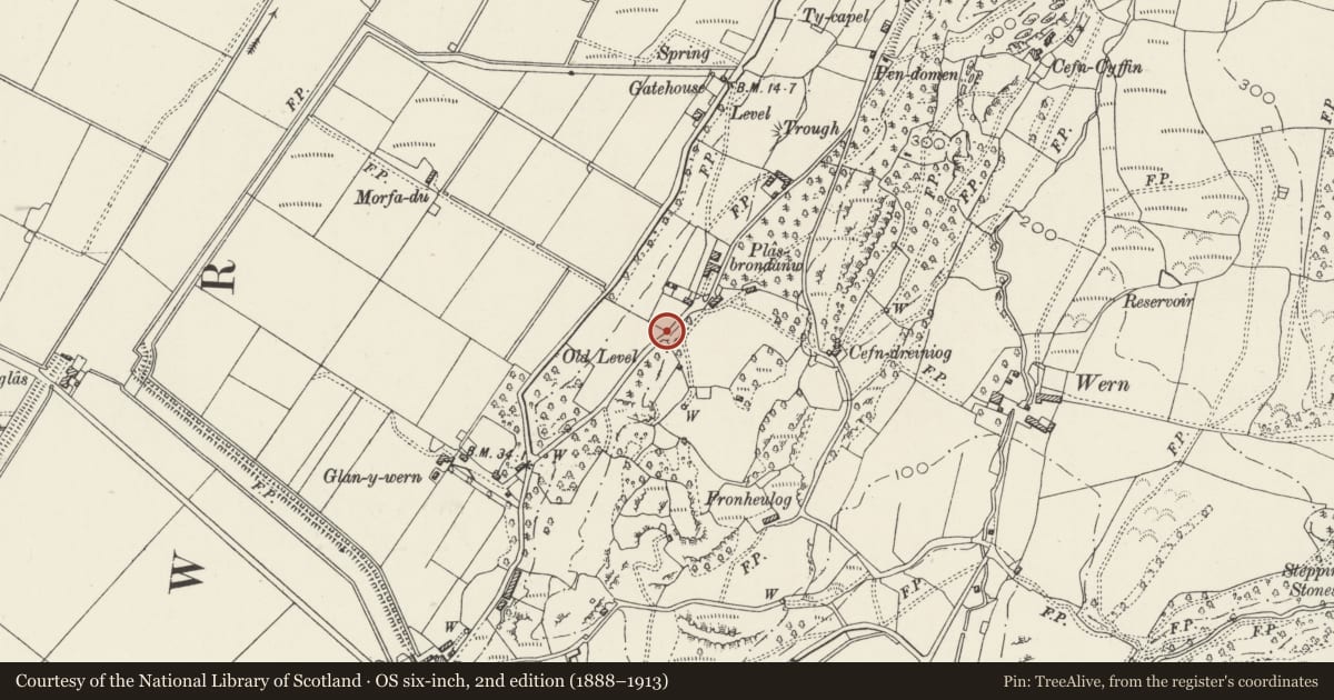 Ordnance Survey six-inch map, 2nd edition (1888–1913) covering the location of Gates and Gatepiers at SE corner of Plas Brondanw Gardens including Garden Wall to NE., Llanfrothen, Gwynedd, with a pin at the register's coordinates