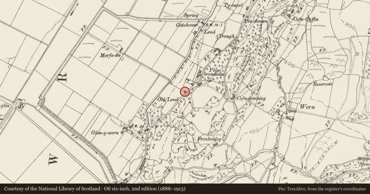 Ordnance Survey six-inch map, 2nd edition (1888–1913) covering the location of Raised Terrace and Steps at SW end of Plas Brondanw Gardens including Exedra, Llanfrothen, Gwynedd, with a pin at the register's coordinates