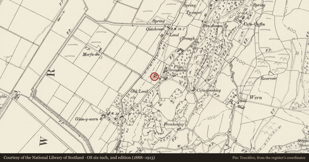 Ordnance Survey six-inch map, 2nd edition (1888–1913) covering the location of The Orangery at Plas Brondanw Gardens, Llanfrothen, Gwynedd, with a pin at the register's coordinates