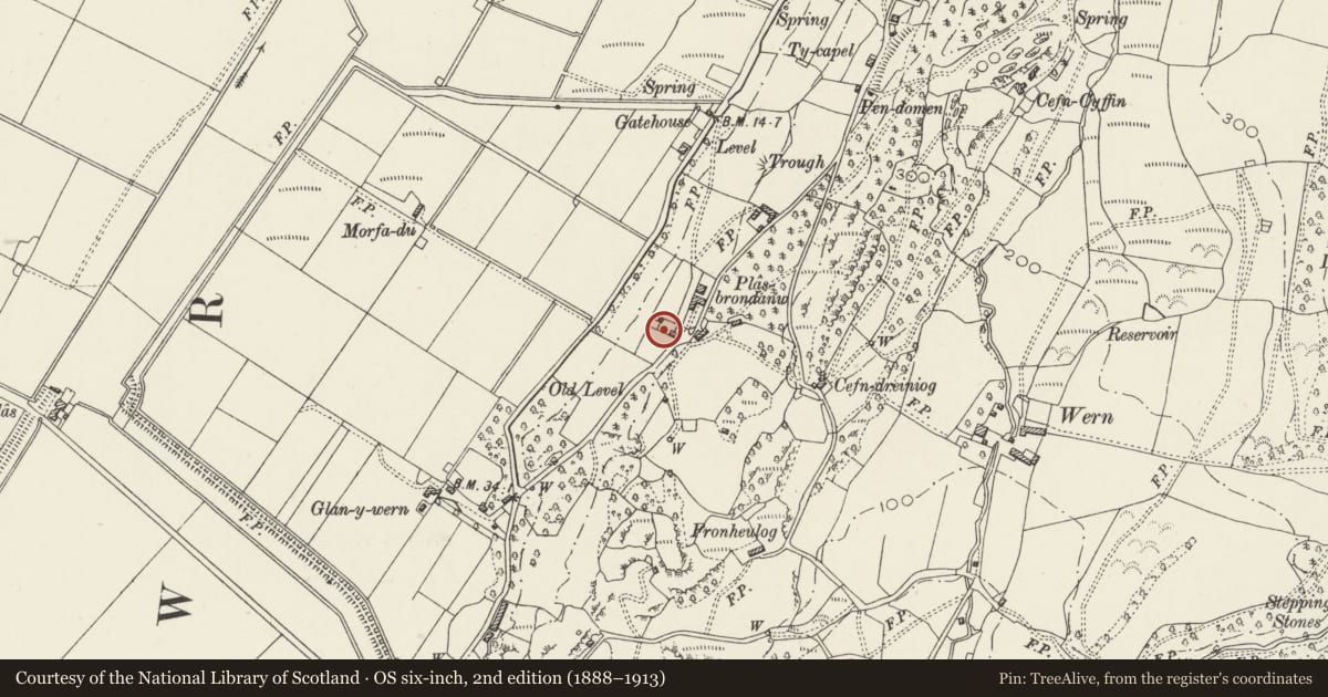 Ordnance Survey six-inch map, 2nd edition (1888–1913) covering the location of Gatepiers and Steps to W of Coach-house at Plas Brondanw Gardens, Llanfrothen, Gwynedd, with a pin at the register's coordinates