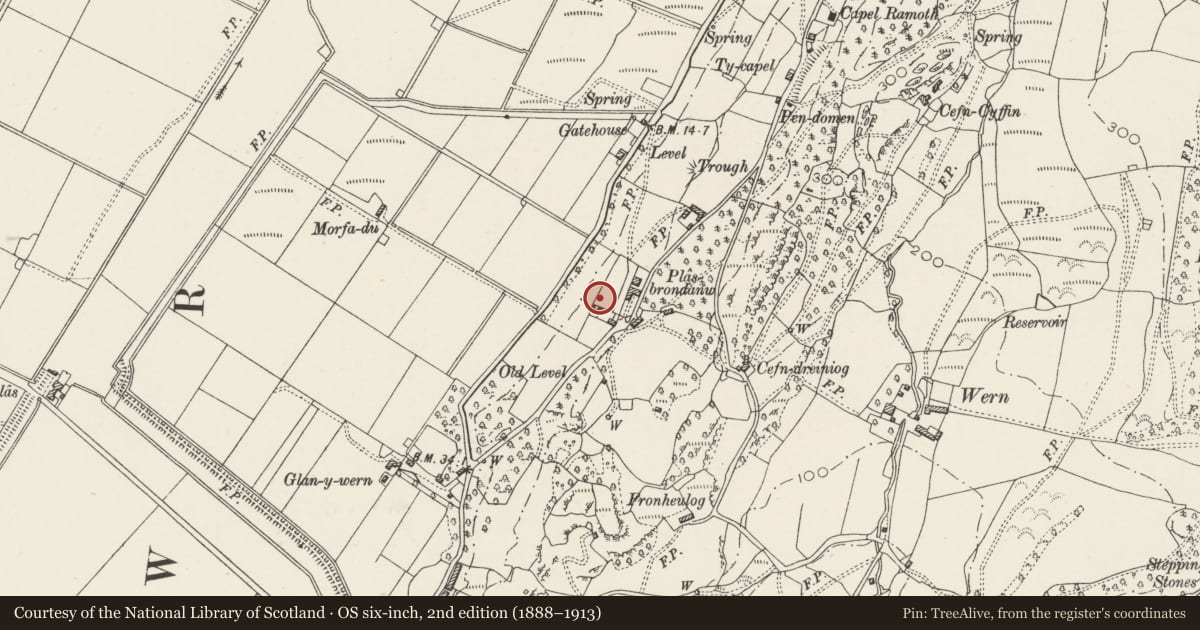 Ordnance Survey six-inch map, 2nd edition (1888–1913) covering the location of Gates, Gatepiers and Steps 50m NE of the Orangery at Plas Brondanw Gardens, Llanfrothen, Gwynedd, with a pin at the register's coordinates