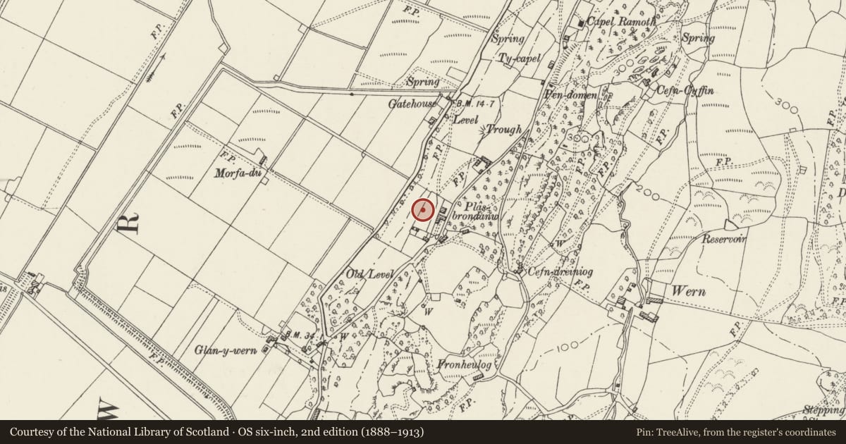 Ordnance Survey six-inch map, 2nd edition (1888–1913) covering the location of Vista Screen and Gate to W of Plas Brondanw, Llanfrothen, Gwynedd, with a pin at the register's coordinates
