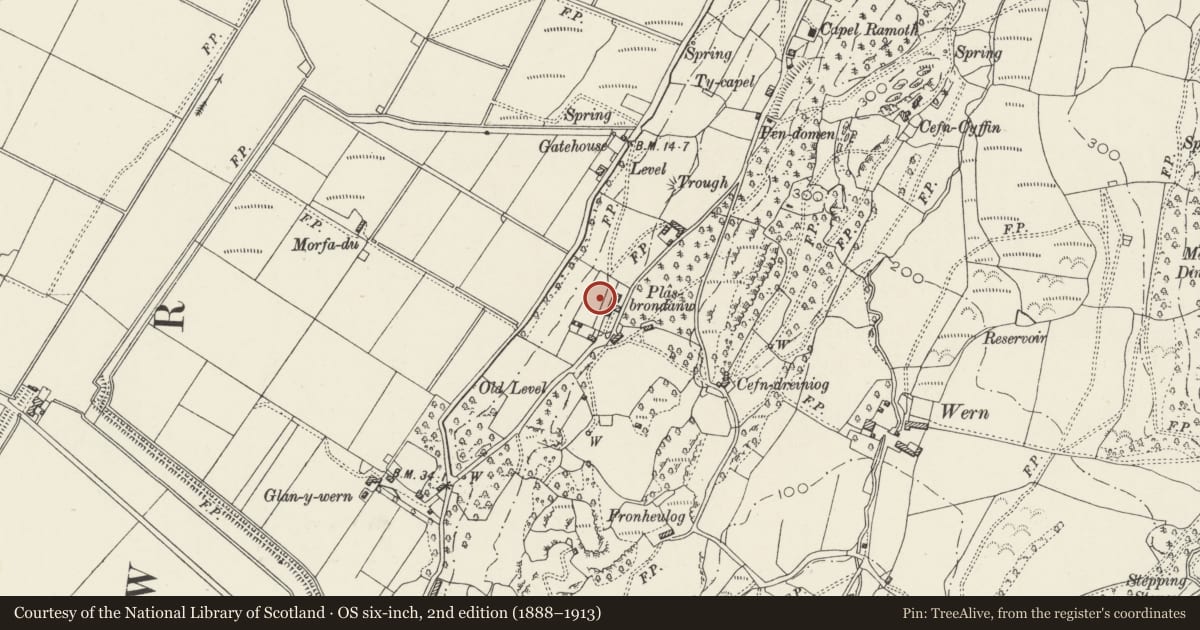 Ordnance Survey six-inch map, 2nd edition (1888–1913) covering the location of Raised Balustraded Terrace immediately W of Plas Brondanw, Llanfrothen, Gwynedd, with a pin at the register's coordinates