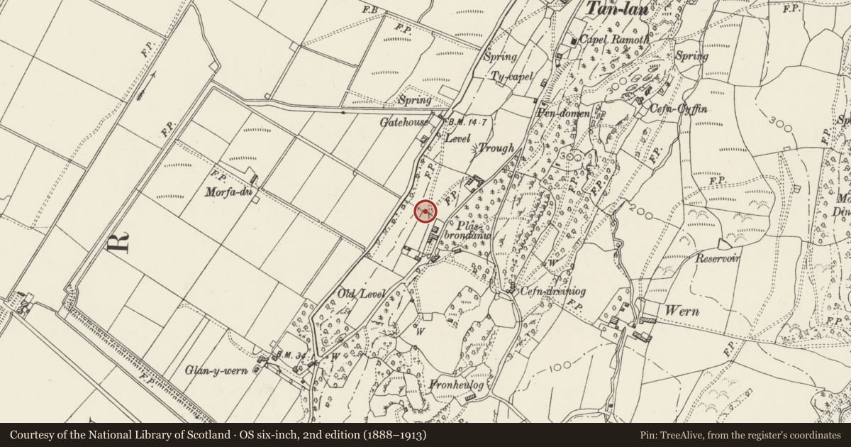 Ordnance Survey six-inch map, 2nd edition (1888–1913) covering the location of Dolphin Gates and Gatepiers at Plas Brondanw including Railings to NW, Llanfrothen, Gwynedd, with a pin at the register's coordinates