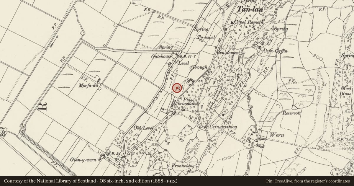 Ordnance Survey six-inch map, 2nd edition (1888–1913) covering the location of Circular Enclosing Walls and Fountain at the N end at Plas Brondanw Gardens, Llanfrothen, Gwynedd, with a pin at the register's coordinates