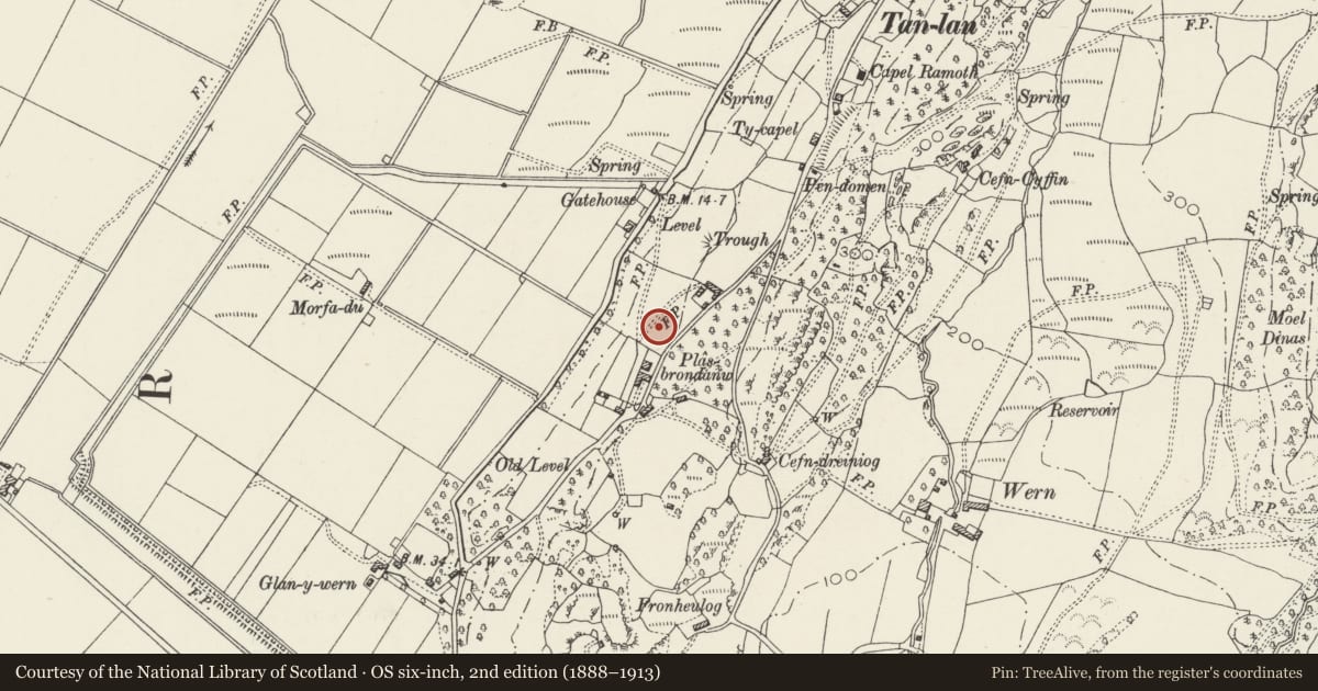Ordnance Survey six-inch map, 2nd edition (1888–1913) covering the location of Bust of Inigo Jones on Pedestal at Plas Brondanw Gardens, Llanfrothen, Gwynedd, with a pin at the register's coordinates