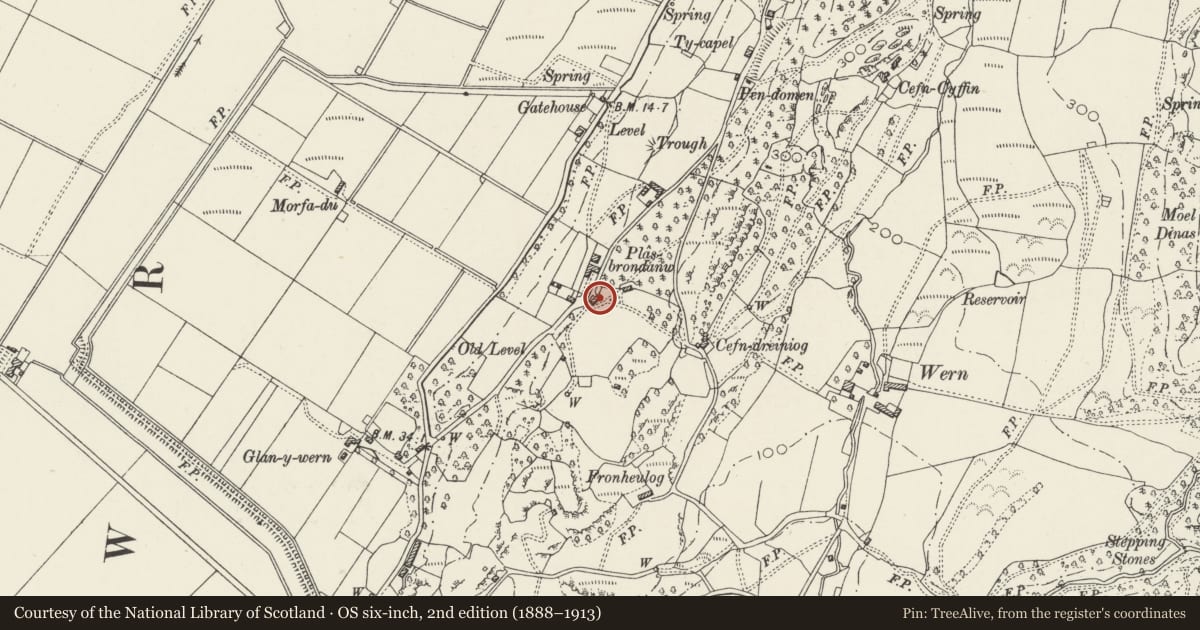 Ordnance Survey six-inch map, 2nd edition (1888–1913) covering the location of Penstep, Llanfrothen, Gwynedd, with a pin at the register's coordinates