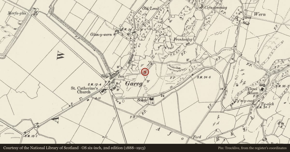 Ordnance Survey six-inch map, 2nd edition (1888–1913) covering the location of Garreg Ganol, Llanfrothen, Gwynedd, with a pin at the register's coordinates