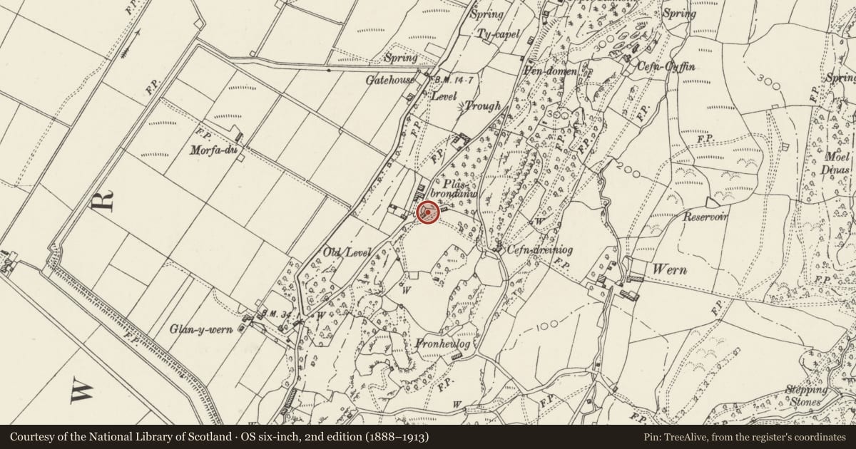 Ordnance Survey six-inch map, 2nd edition (1888–1913) covering the location of Flight of Steps and adjoining Wall and Arched Gateway immediately N of Penstep, Llanfrothen, Gwynedd, with a pin at the register's coordinates