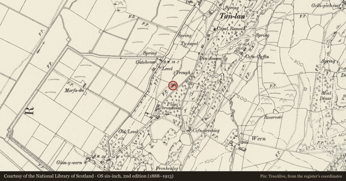 Ordnance Survey six-inch map, 2nd edition (1888–1913) covering the location of Byre NE of Plas Brondanw, Llanfrothen, Gwynedd, with a pin at the register's coordinates