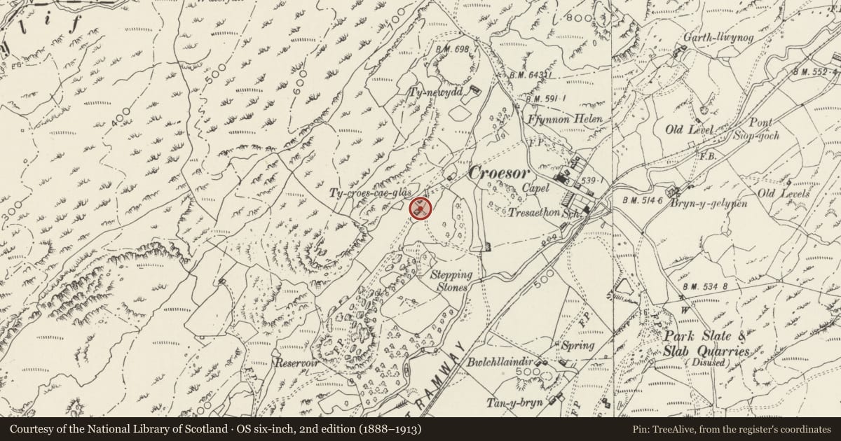 Ordnance Survey six-inch map, 2nd edition (1888–1913) covering the location of Barn 25m SE of Cae Glas, Llanfrothen, Gwynedd, with a pin at the register's coordinates