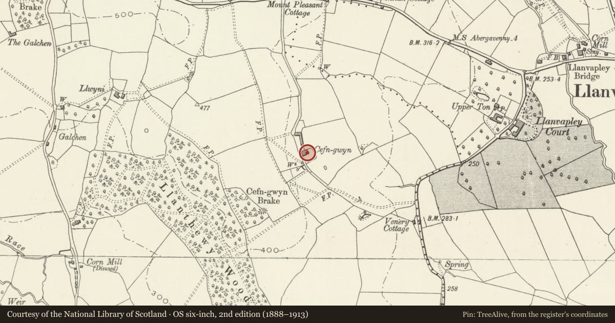 Ordnance Survey six-inch map, 2nd edition (1888–1913) covering the location of Cefn-gwyn Farmhouse, Gobion Fawr, Monmouthshire, with a pin at the register's coordinates