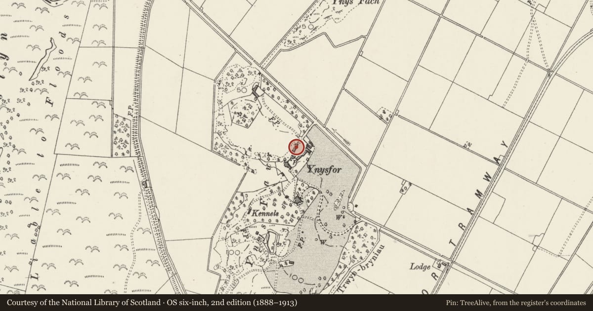 Ordnance Survey six-inch map, 2nd edition (1888–1913) covering the location of Agricultural Range at Old Ynysfor, Llanfrothen, Gwynedd, with a pin at the register's coordinates