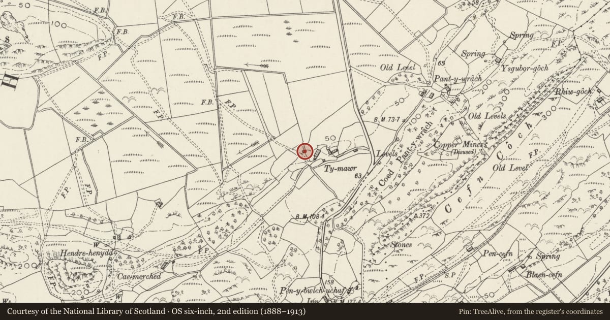 Ordnance Survey six-inch map, 2nd edition (1888–1913) covering the location of Cart-shed at Ty Mawr, Llanfrothen, Gwynedd, with a pin at the register's coordinates