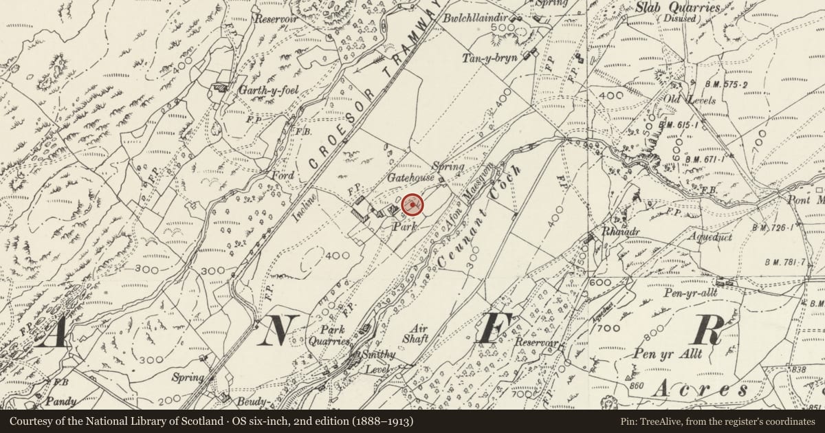 Ordnance Survey six-inch map, 2nd edition (1888–1913) covering the location of Walls and Revettments to Upper Terrace Garden at Parc, Llanfrothen, Gwynedd, with a pin at the register's coordinates