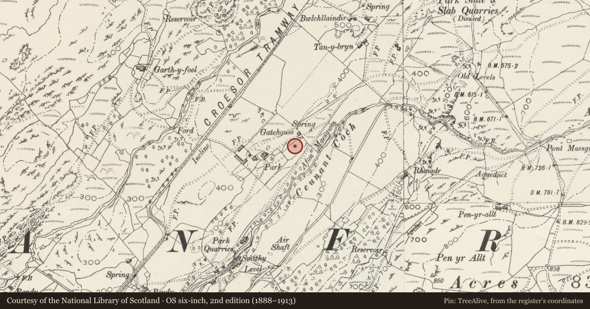 Ordnance Survey six-inch map, 2nd edition (1888–1913) covering the location of Revettment Walls to Terracing at Parc including Walls and Revettments to Enclosure adjoining to SE, Llanfrothen, Gwynedd, with a pin at the register's coordinates