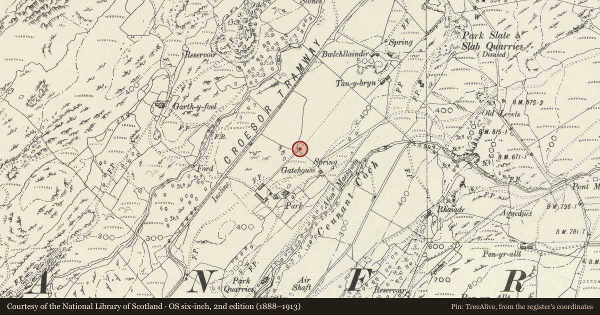 Ordnance Survey six-inch map, 2nd edition (1888–1913) covering the location of Boulder-built Boundary Walls above the Upper Drive at Parc, Llanfrothen, Gwynedd, with a pin at the register's coordinates