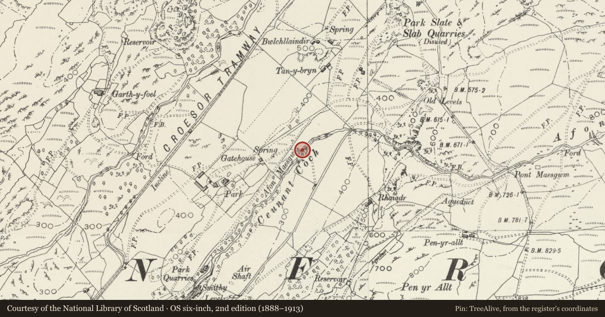 Ordnance Survey six-inch map, 2nd edition (1888–1913) covering the location of Bridge at Parc, Llanfrothen, Gwynedd, with a pin at the register's coordinates