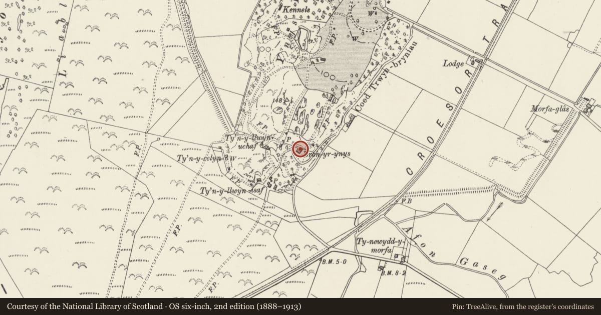Ordnance Survey six-inch map, 2nd edition (1888–1913) covering the location of Bronynys, Llanfrothen, Gwynedd, with a pin at the register's coordinates