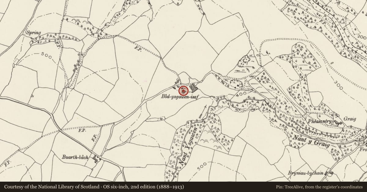 Ordnance Survey six-inch map, 2nd edition (1888–1913) covering the location of Bod-Ysgawen-Isaf, Llannefydd, Conwy, with a pin at the register's coordinates
