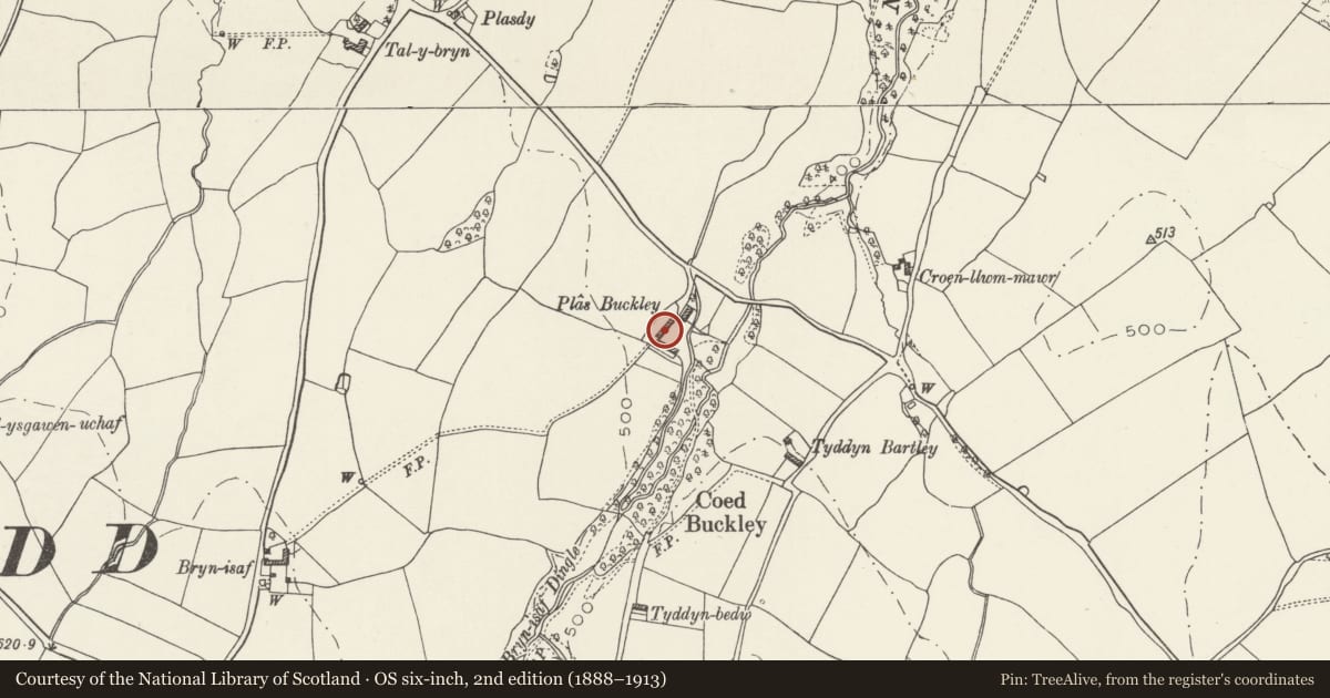Ordnance Survey six-inch map, 2nd edition (1888–1913) covering the location of Primary Barn and adjoining Cart Bays to NE of Plas Buckley, Llannefydd, Conwy, with a pin at the register's coordinates