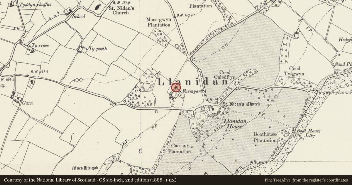 Ordnance Survey six-inch map, 2nd edition (1888–1913) covering the location of Barn with attached cartshed-granary, at Llan Idan farm, Llanidan, Isle of Anglesey, with a pin at the register's coordinates