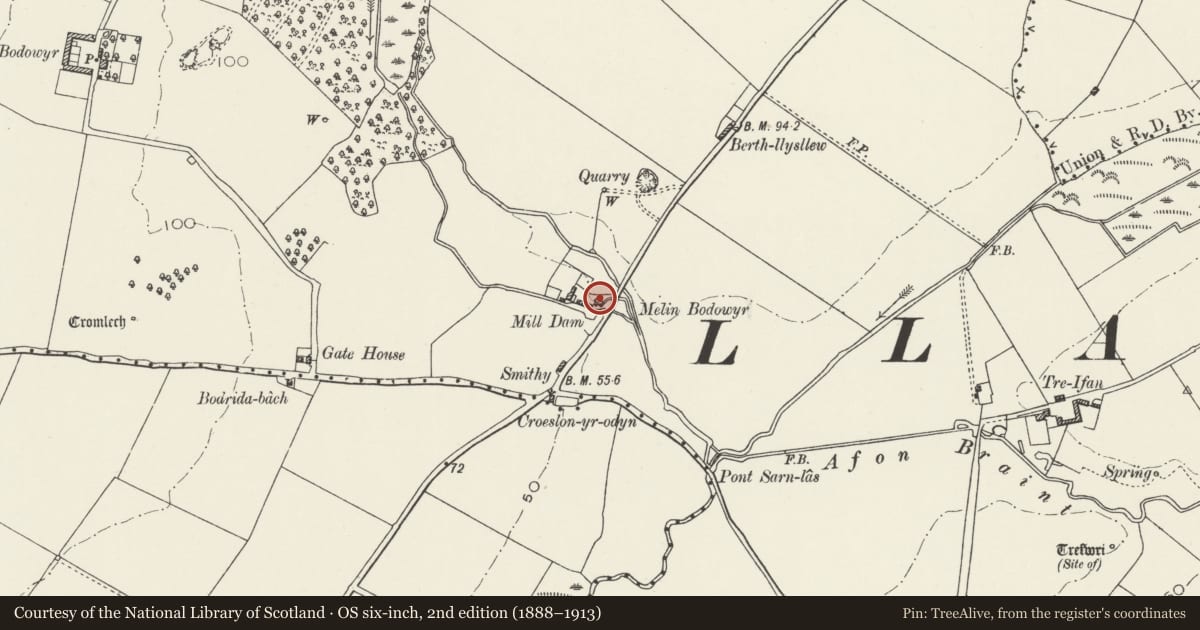 Ordnance Survey six-inch map, 2nd edition (1888–1913) covering the location of Melin Bodowyr, Llanidan, Isle of Anglesey, with a pin at the register's coordinates